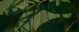 pexels-moh-adbelghaffar-18982220